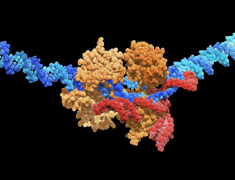 At the centre of the image, a molecular structure (orange) of CRISPR-Cas9 protein, with DNA (blue) passing through.