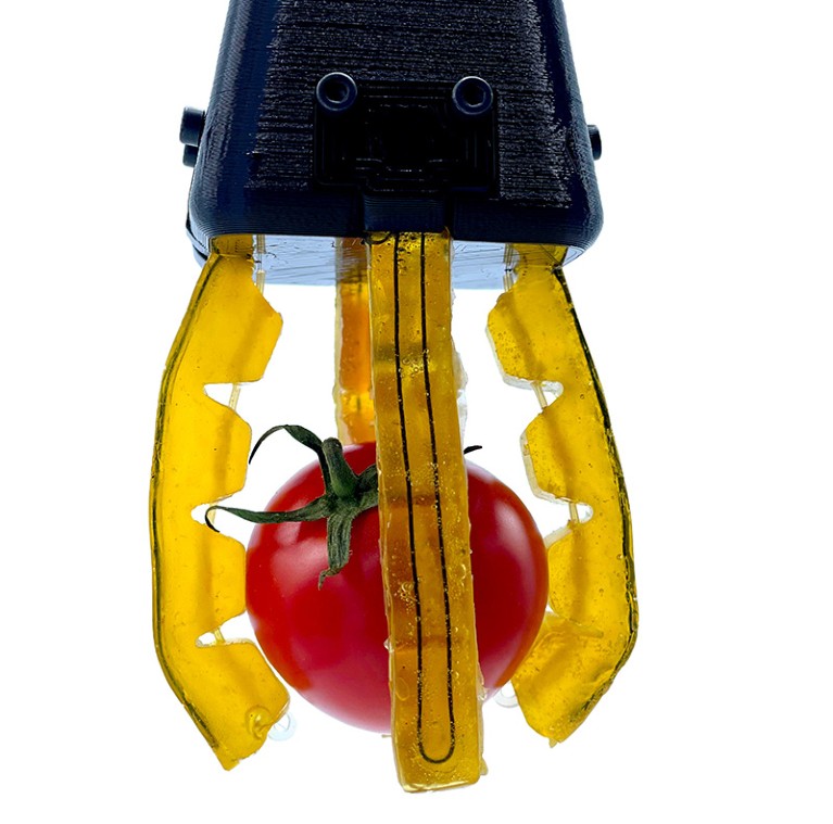 A tomato is gripped by four soft yellow finger-like sensors