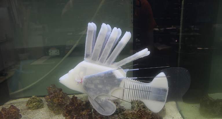 A white fish-like robot in a tank of water