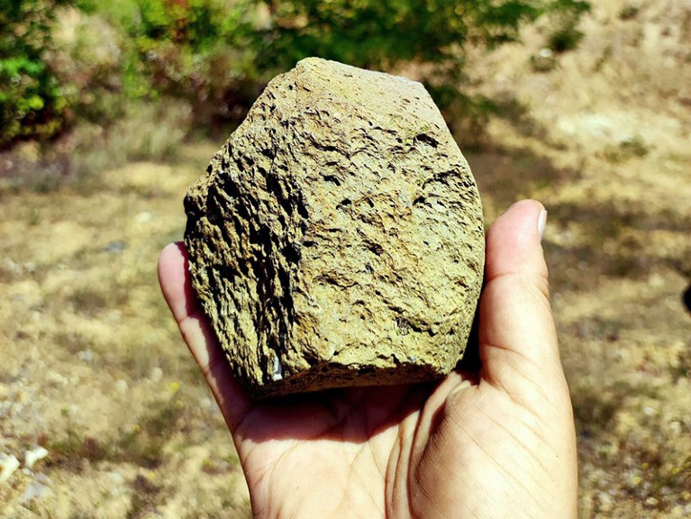 Vista aproximada de uma ferramenta de pedra, possivelmente da Camada VII em Korolevo I.