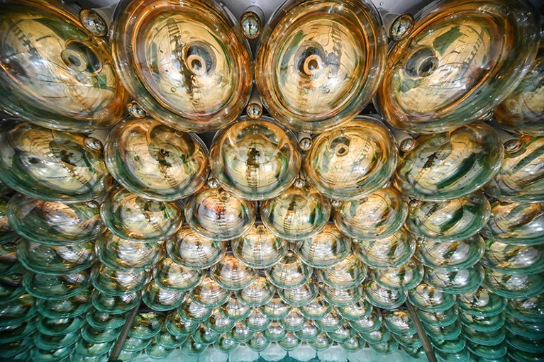Rows of photomultiplier tubes seen from below.
