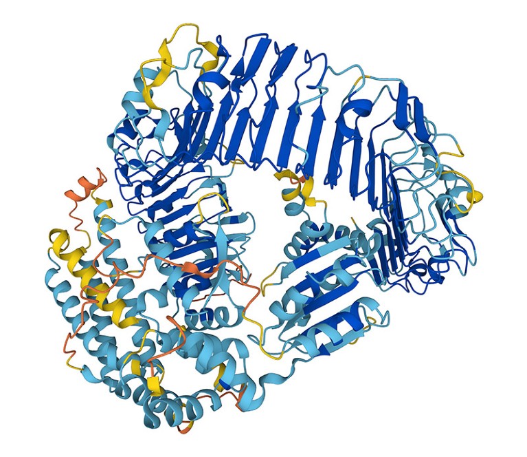 AlphaFold structure prediction for At1g58602 protein with probable disease resistance.