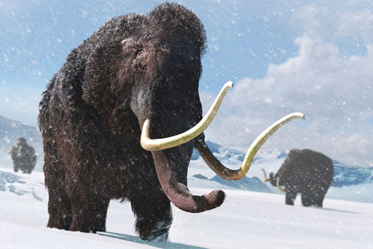 An artist's impression of three woolly mammoths in a snowy landscape.