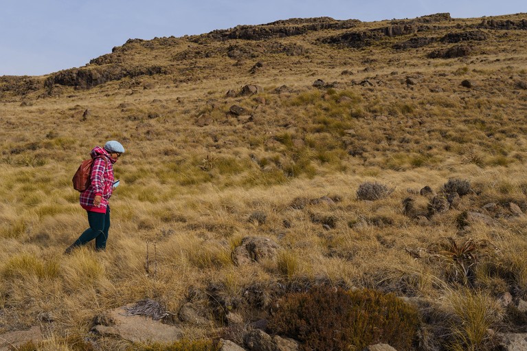 Lerato Seleteng-Kose walking through Bokong Nature Reserve in Lesotho while researching plants and the environment.