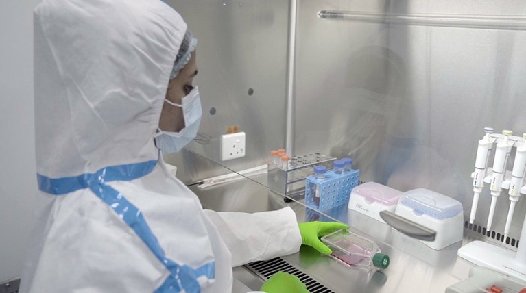 A technician at work in the ImmunoACT cGMP Facility for NexCAR19 Production.