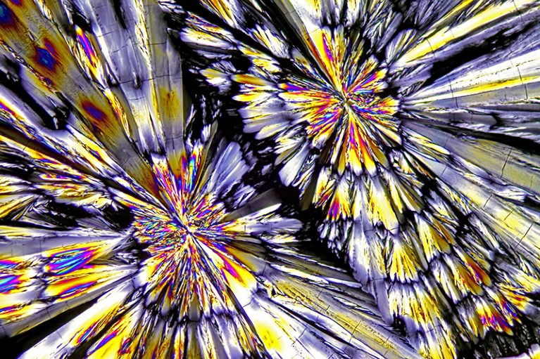 A light micrograph of Ketamine crystals.