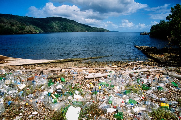 Plastic bottles washed up on shore of a Carribean islanda`