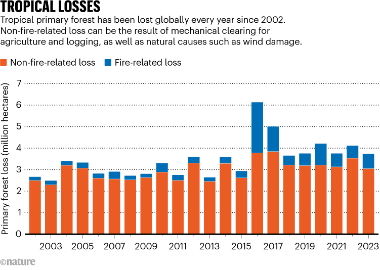TROPICAL LOSSES. Chart shows primary forest loss as a result of mechanical clearing and natural causes (2002–2023).