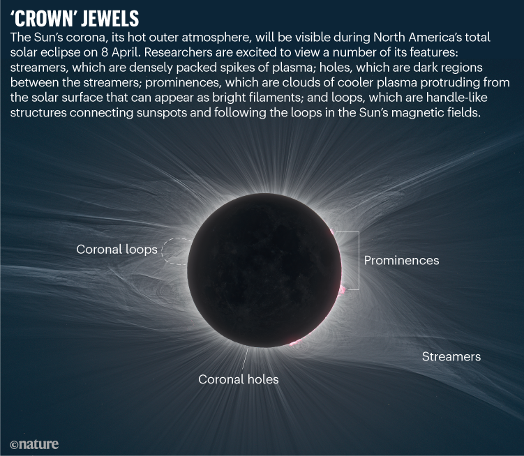‘CROWN’ JEWELS. Graphic labelling features of the Sun's corona.