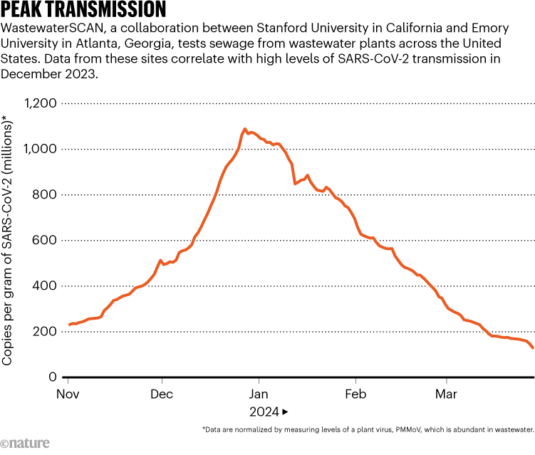 Peak transmission: Chart showing levels of SARS-Cov2 in wastewater tests in California and Georgia peaking in December 2023.