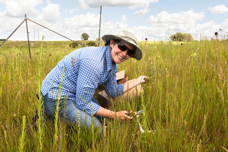 Elizabeth Bach wearing a hat and sunglasses samples plant biomass in tall grass