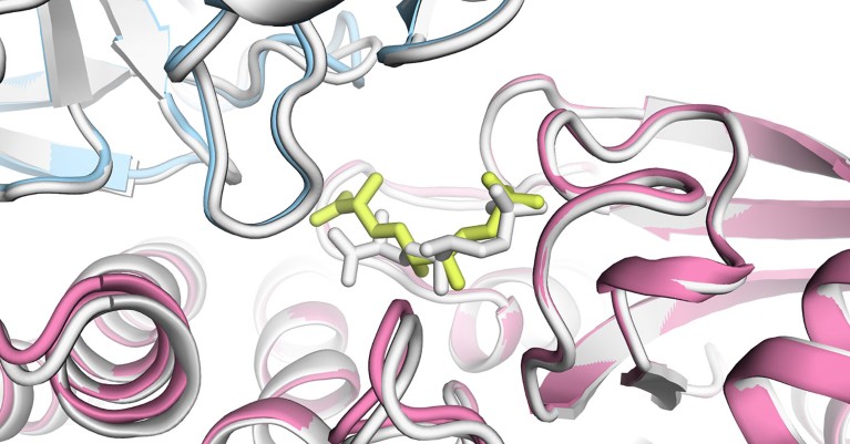 A close up view of detail from a computer render of a AziU3/U2 protein diagram.