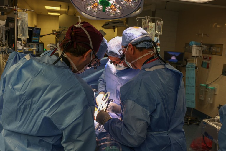 Rear view of four people in blue protective gear performing surgery.