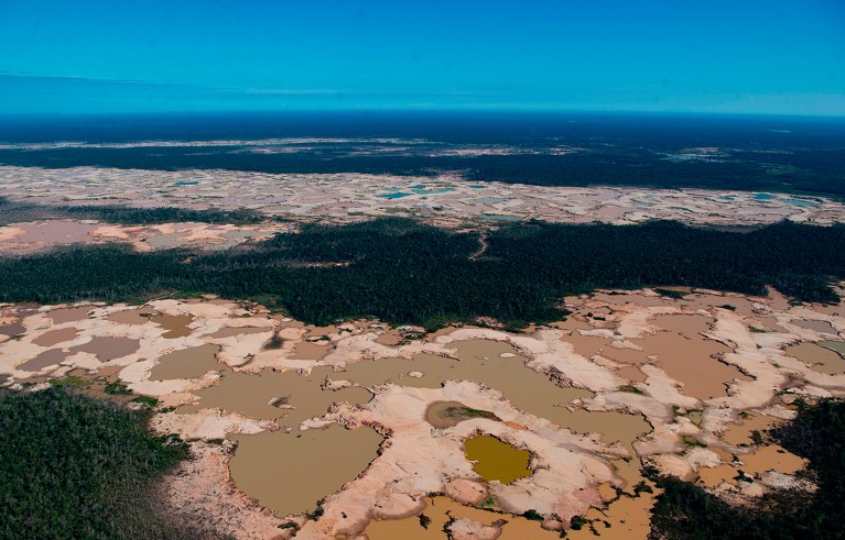 An aerial view over a chemically deforested area of the Amazon jungle caused by illegal mining activities in the river basin of the Madre de Dios region in southeast Peru. Dried patches around a left over central green area.
