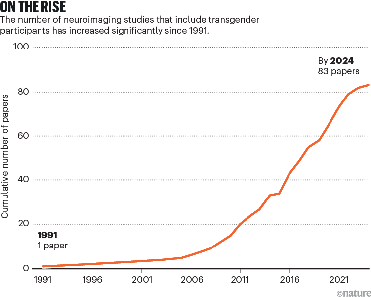 On the rise. Line chart showing the number of neuroimaging studies that include transgender participants has increased from 1 to 83 between 1991 to 2024.