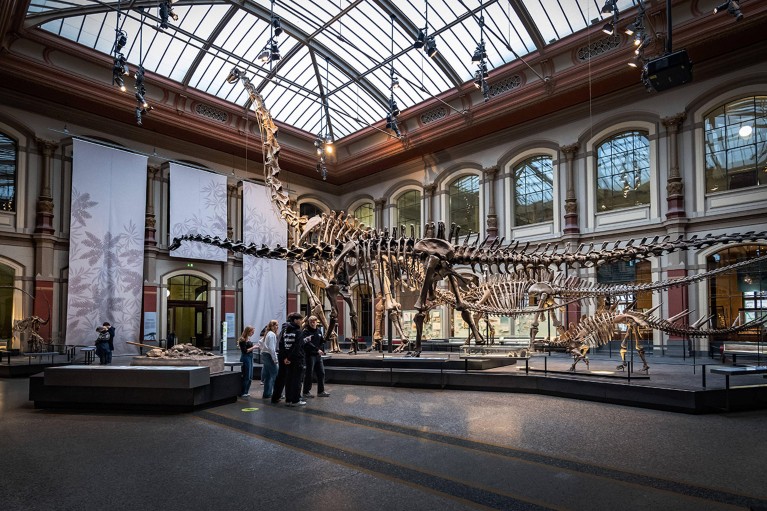 Vista de esqueletos de dinossauros em exposição no Museu de História Natural de Berlim.