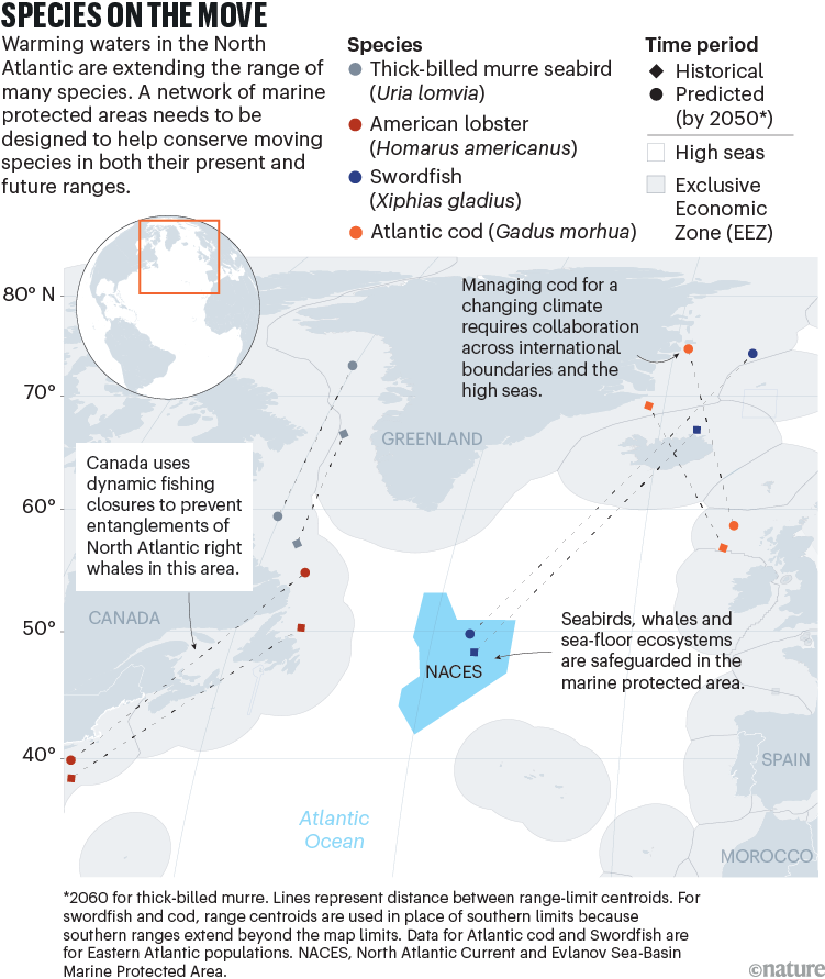 Species on the move. Map showing historical and predicted movements of four species and how they are expected to move northernly by the year 2050.