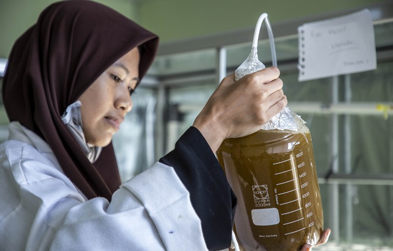 A researcher working on biofuel in a laboratory in Indonesia.