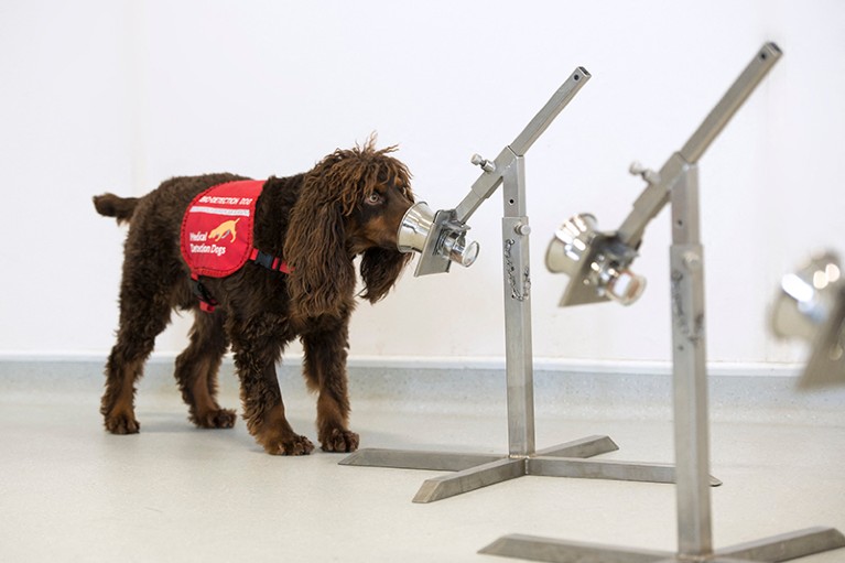 Brown dog puts nose in cup attached to stand. A second cup attached to a stand is also visible.