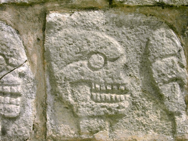 Vista de primer plano que muestra detalles de la piedra tzompantli reconstruida, o estante del cráneo.