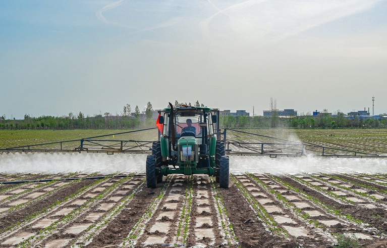 Maquinaria agrícola operada por agricultores rocía pesticidas en un campo de algodón en la Prefectura Autónoma de Changjihui, Región Autónoma Uygur de Xinjiang, China.