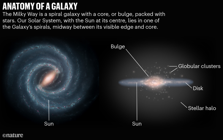ANATOMY OF A GALAXY. Graphic showing the Milky Way from 2 angles.