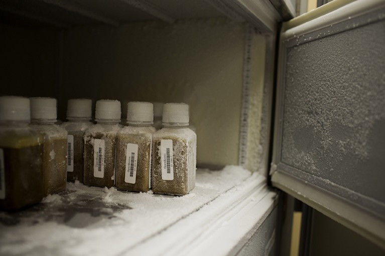 A small open freezer shows identical frozen brown bottles containing fecal matter