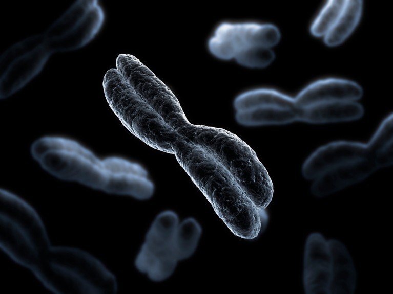 Computer artwork of chromosomes on a black background