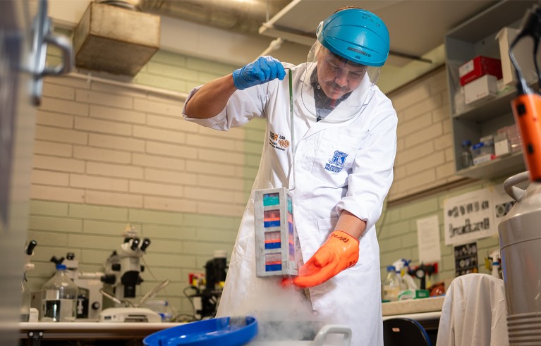 Un científico con equipo de protección extrae del nitrógeno líquido un recipiente rectangular que contiene patas de marsupial.