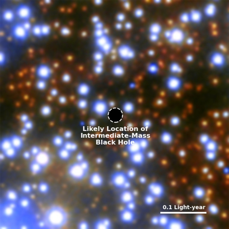 Ein neues farbiges ESA/Hubble-Bild von Omega Centauri mit der wahrscheinlichen Position des mittelschweren Schwarzen Lochs.