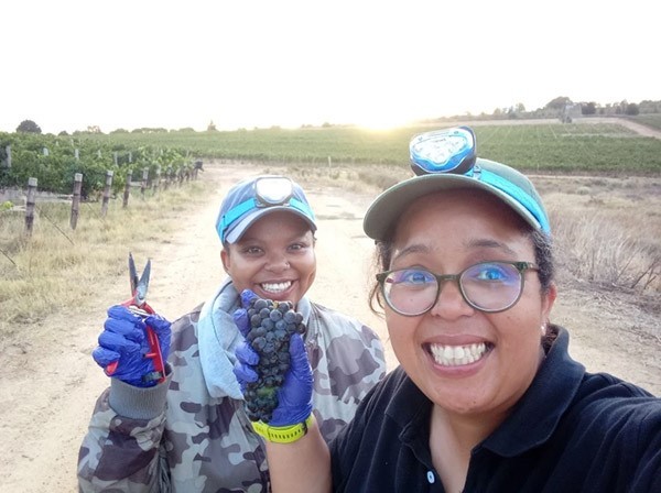 Erna Blancquaert, wearing a headlamp and holding a bunch of grapes, standing beside MSc student Sindiswa Zandile in a vineyard.