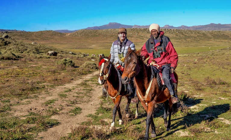 Claudio Sillero and a colleague track Ethiopian wolves on horseback in mountainous terrain