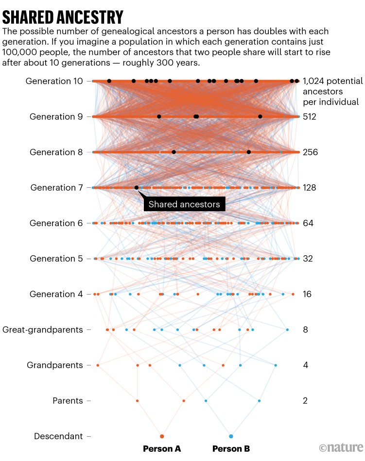 Shared Ancestry: Simulated family tree of two individuals in a population of 100,000 people over ten generations.