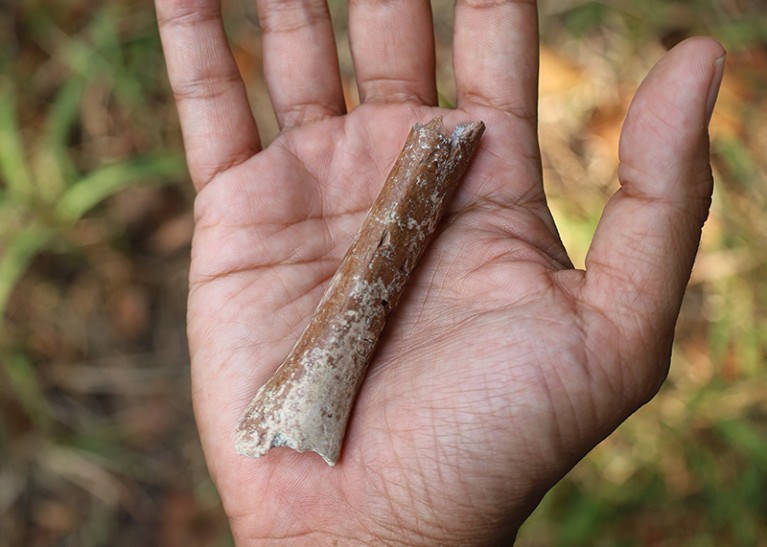 The distal humerus fragment sits on an outstretched human hand