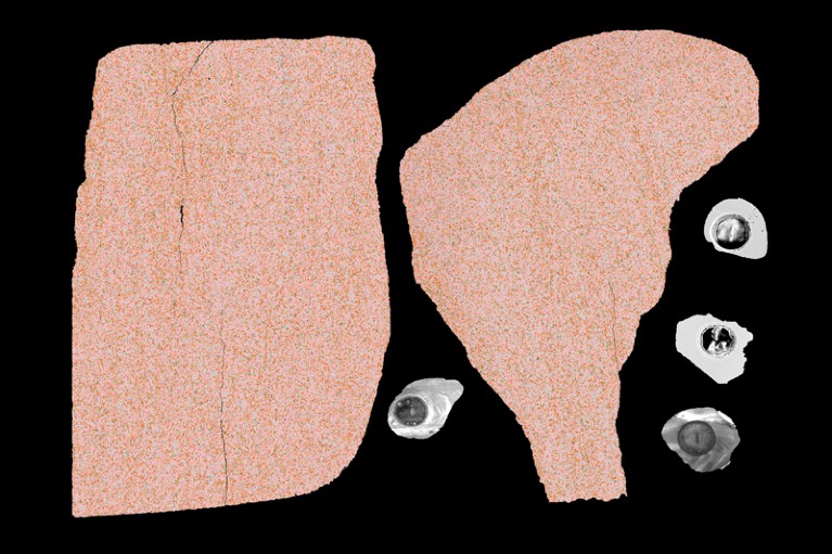 Two fragments of orange-coloured stone and four small grey-hued crystals.