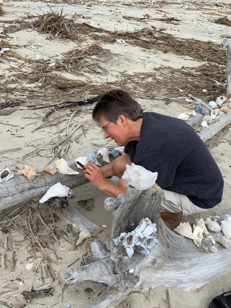 Susanne Moser crouches down to photograph shells placed on dead trees which have been killed by seawater