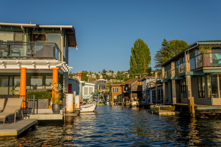 A street made up of floating houses surrounded by water on Lake Union in Seattle