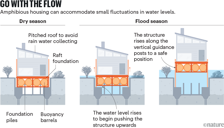 Go with the flow. A schematic showing an amphibious house during dry season and then during flood season where the barrels under the house raise the raft along a structure it's attached to, keeping the house out of the flood water.