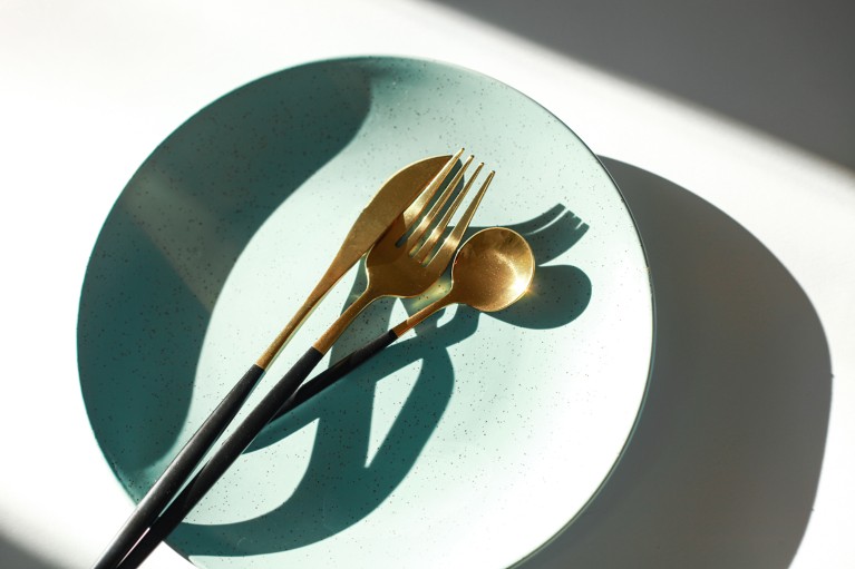 A black and gold fork, knife and spoon lay on a pale blue plate over a white background in harsh sunlight