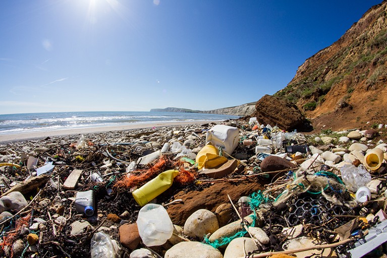 Piles of rubbish are seen washed up on a beach