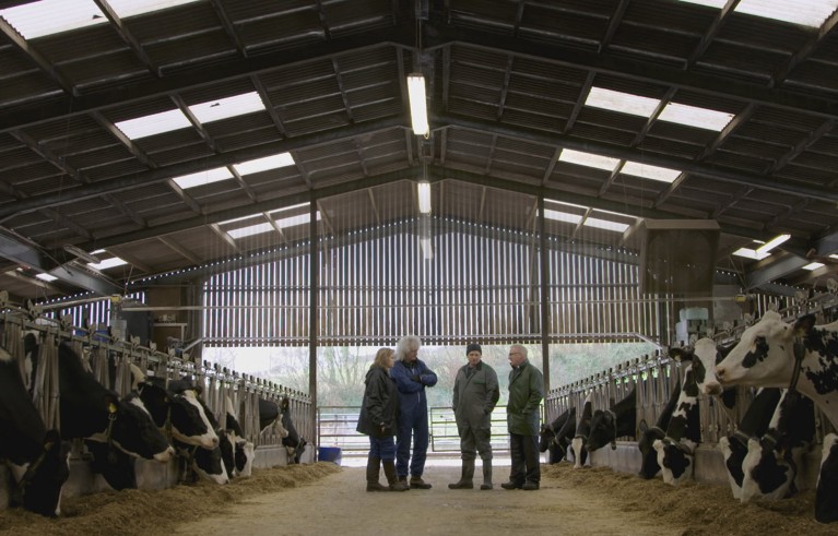 Brian May and Anne Brummer meeting with two farmers in a cowshed.