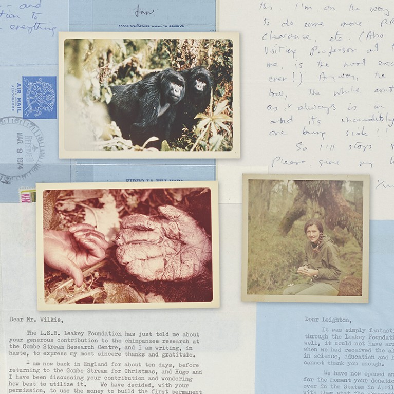 A collection of letters and photographs from Louis Leakey, Dian Fossey, and Jane Goodall