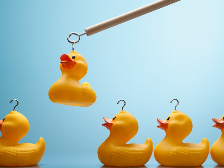 Pole lifting rubber duck with hook in its head out of a row of other ducks.