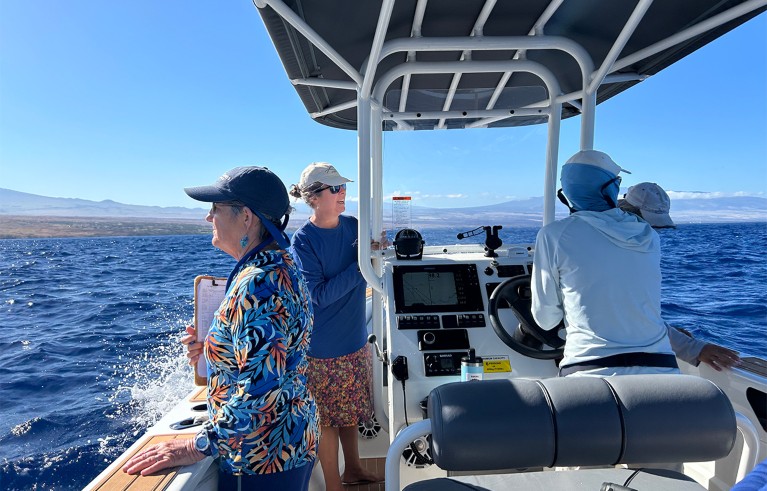 Four women with cap look at the sea from a boat.