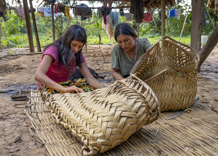 Tsimane' women sit on the floor weaving baskets with Attalea phalerata in the Bolivian Amazon