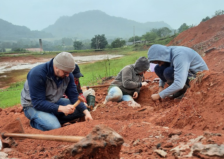 Researchers work on fossil collection