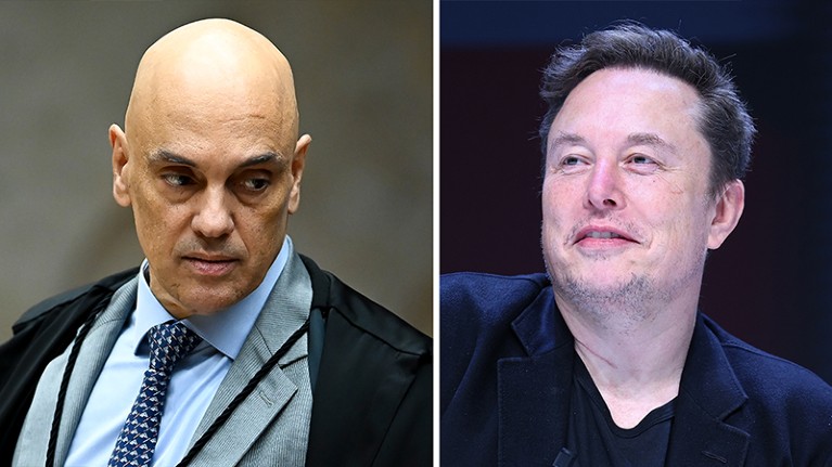 Left, Alexandre de Moraes; right, Elon Musk portraits