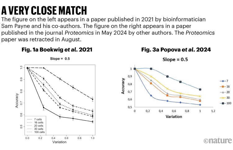 A very close match: Comparison of Fig. 1a from Boekwig et al. 2021 and Fig. 3a from Popova et al. 2024.