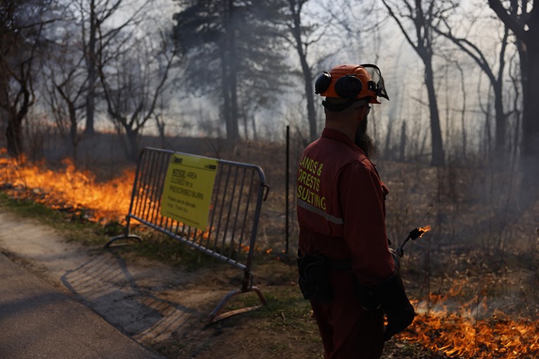 A member of the Lands & Forests Consulting burn team watches a prescribed burn at High Park in Toronto, Canada.