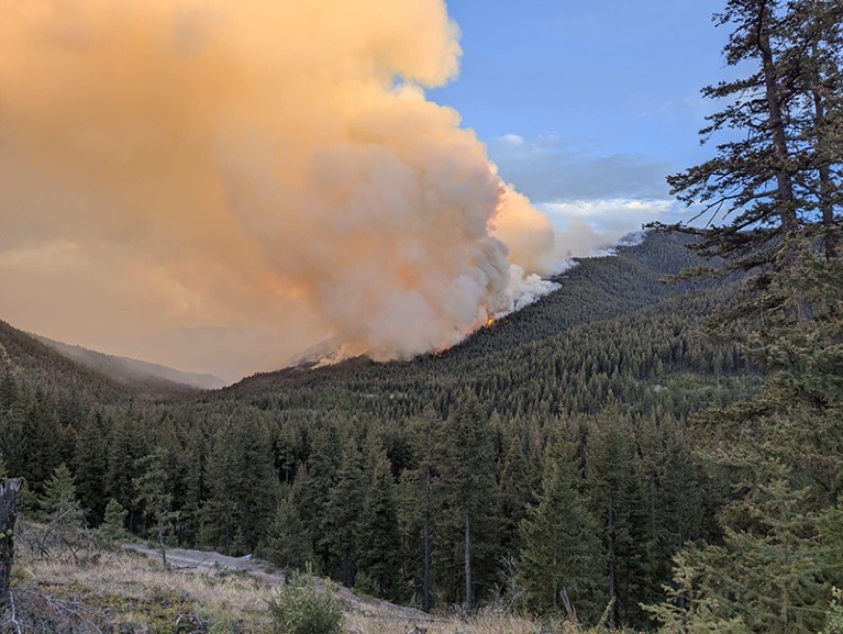 Smoke billows from forest wildfires near Shetland Creek in British Columbia, Canada.